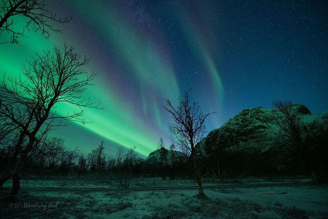 express-aurora-hunt-from-tromso