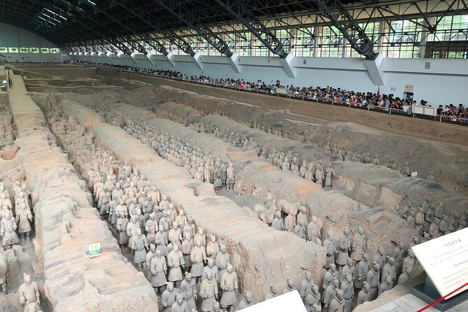 Express Bullet Train Tour to Terracotta Warriors from Beijing for One Day - Key Points