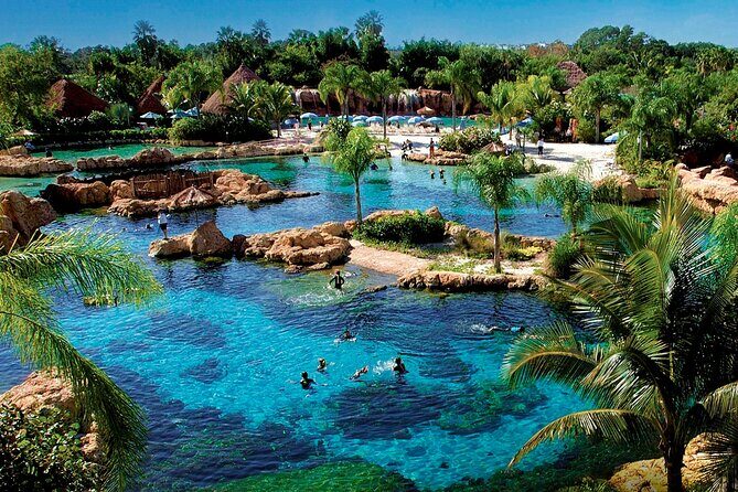 Express Shuttle from Key West to Orlando - Who Would Benefit from This Service?  