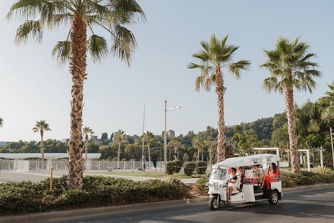 express-tour-of-malaga-in-private-eco-tuk-tuk