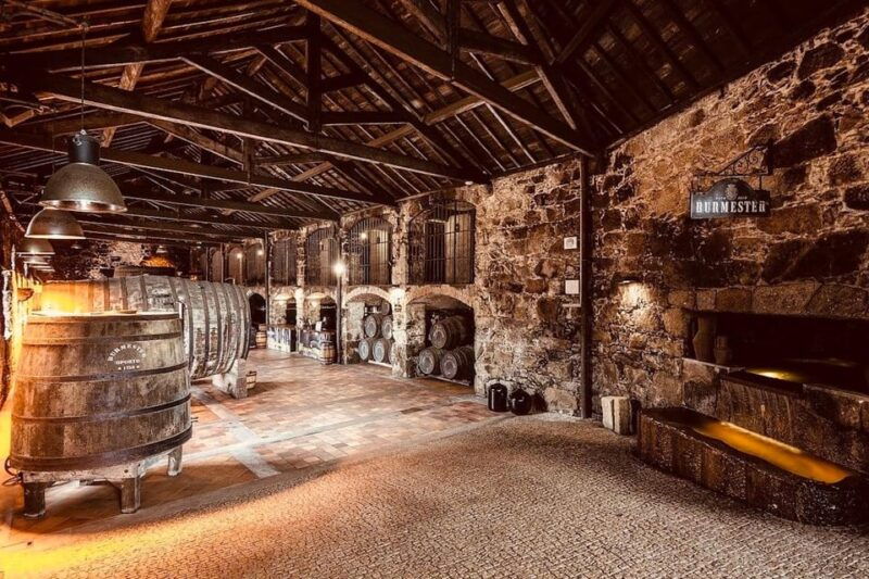 exquisite-and-private-premium-tour-to-burmester-cellars