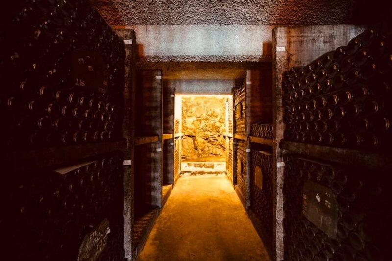 exquisite-and-private-premium-tour-to-burmester-cellars