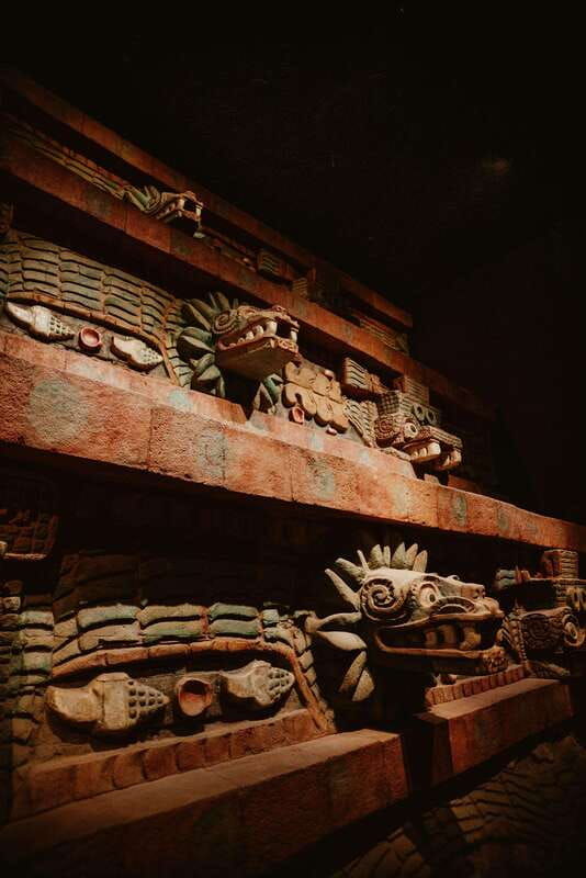 extended-private-tour-of-anthropology-museum-best-rated