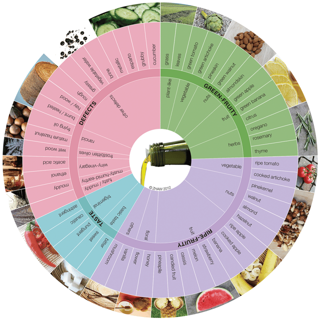 extra-virgin-olive-oil-experience-with-wine-herbs