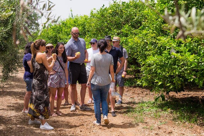 extra-virgin-olive-oil-tasting-in-syracuse-fairytale-tour