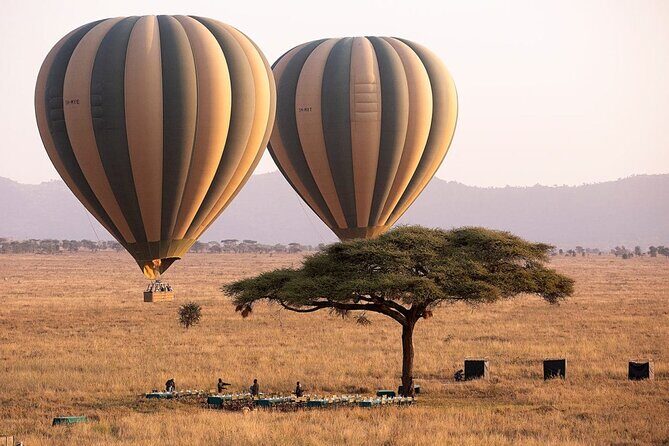 Extraordinary Hot air Bolloon ride in Serengeti | BURIGI CHATO SAFARIS CO L.T.D - Key Points  