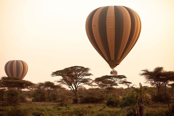 Extraordinary Hot air Bolloon ride in Serengeti | BURIGI CHATO SAFARIS CO L.T.D - The Itinerary: What to Expect from Start to Finish  