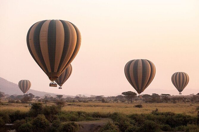 Extraordinary Hot air Bolloon ride in Serengeti | BURIGI CHATO SAFARIS CO L.T.D - Final Thoughts: Who Should Consider This Tour?  