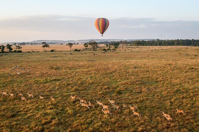 Extraordinary Hot air Bolloon ride in Serengeti | BURIGI CHATO SAFARIS CO L.T.D - Frequently Asked Questions  