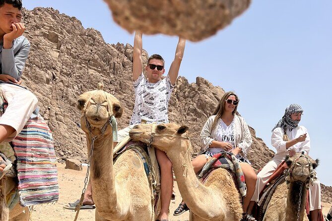 Extreme Day Safari - The Sum Up