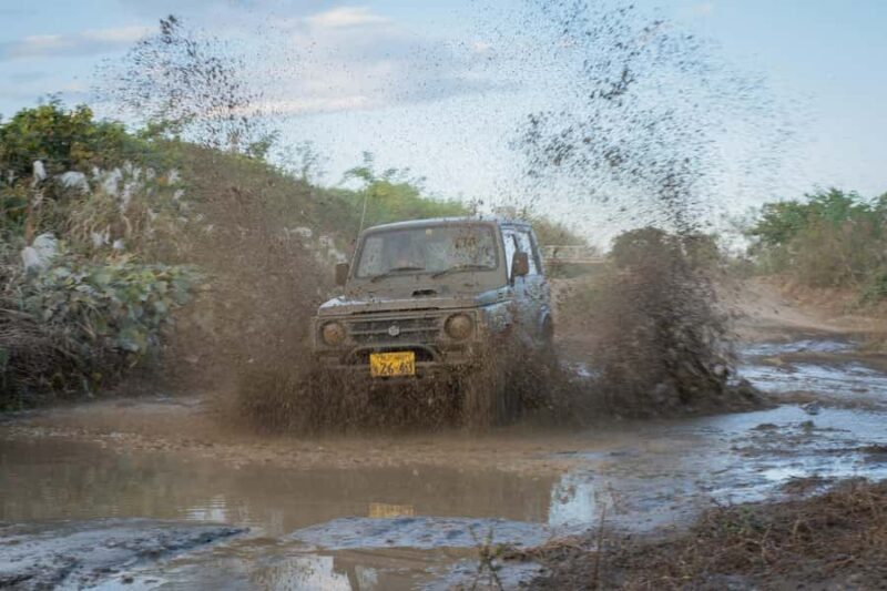 Extreme Jimny Off-Road Ride: Dirt, Forest & Rock near Tokyo - What Makes This Off-Road Jimny Ride Special?