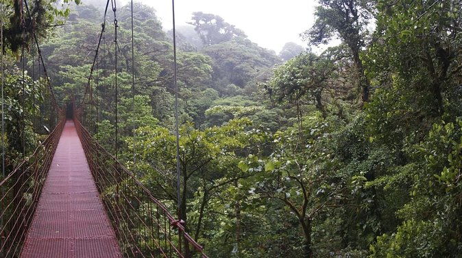extreme-nature-hike-fortuna-to-monteverde