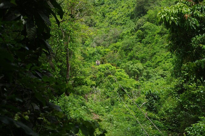 extreme-zipline-experience-at-loterie-farm