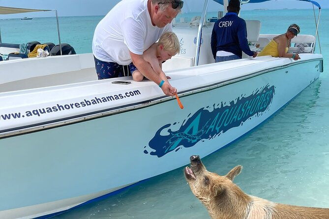 exuma-powerboat-tour-from-nassau-with-swimming-pigs