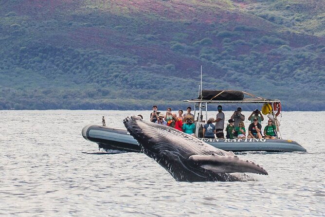 eye-level-whale-watching-eco-raft-tour-from-lahaina