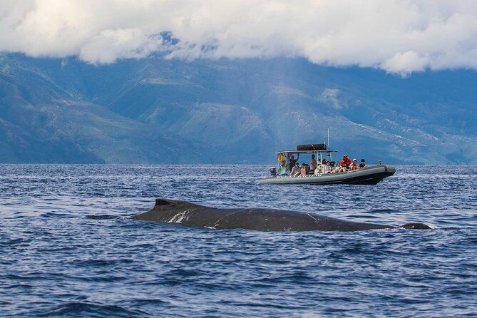 eye-level-whale-watching-eco-raft-tour-from-lahaina