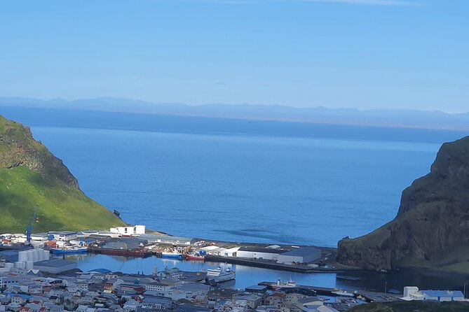 eyjascooter-puffin-tour-in-iceland
