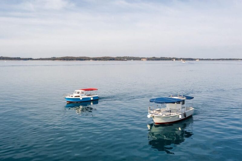 FAANA: Brijuni boat trip+stop & Swim at St. Jerolim Island - Why This Tour Offers Great Value