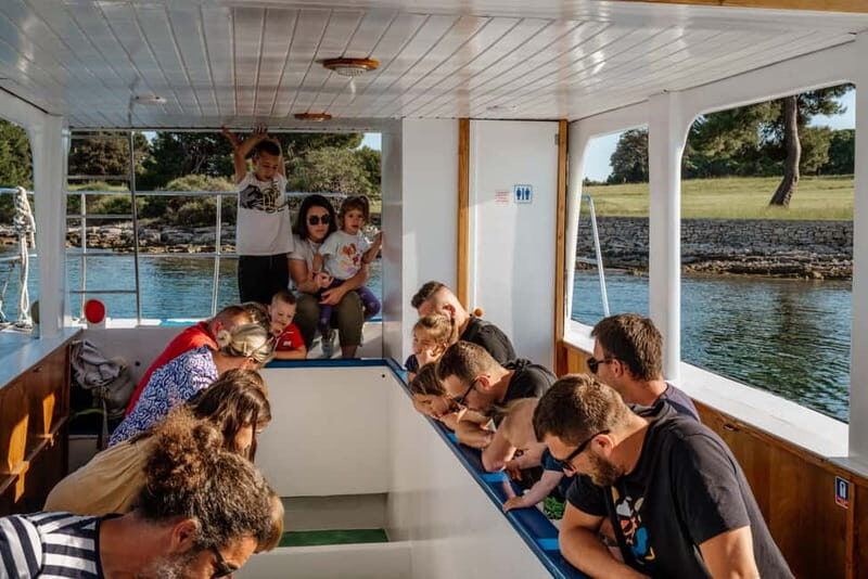FAANA: DOLPHIN SAFARI - Authentic Experiences from Past Travelers