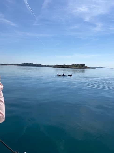 Faana: Dolphin & Sunset - The Itinerary: What to Expect on the Dolphin & Sunset Tour