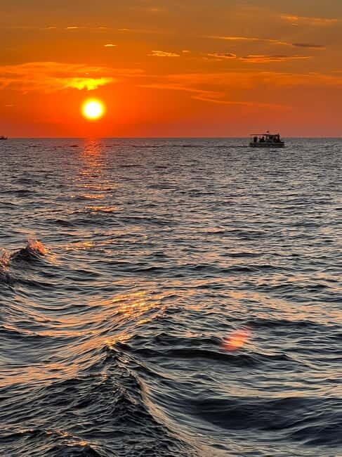 Faana: Dolphin & Sunset - Practical Considerations and Value