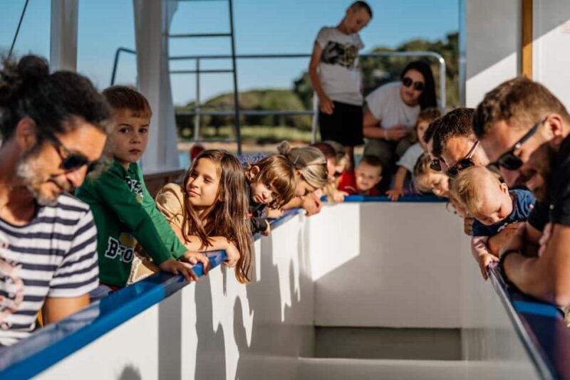 Faana: Glass Boat Tour of Brijuni National Park - Key Points