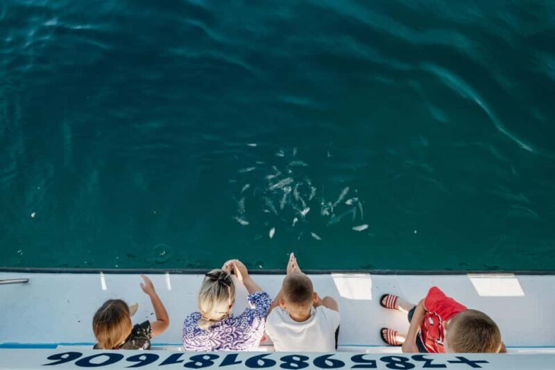 Faana: Glass Boat Tour of Brijuni National Park - Overview of the Faana Glass Boat Tour
