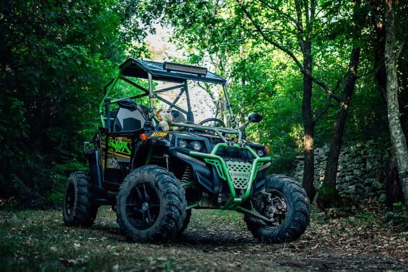 Faana: Guided Buggy Tour in the Heart of Istria - The Experience: What to Expect from the Buggy Tour