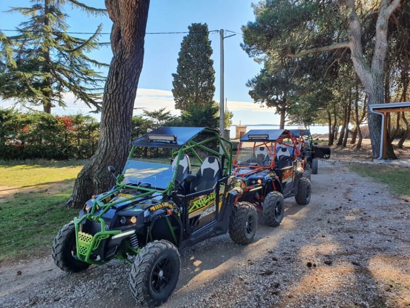 Faana: Guided Buggy Tour in the Heart of Istria - Who Should Consider This Tour?