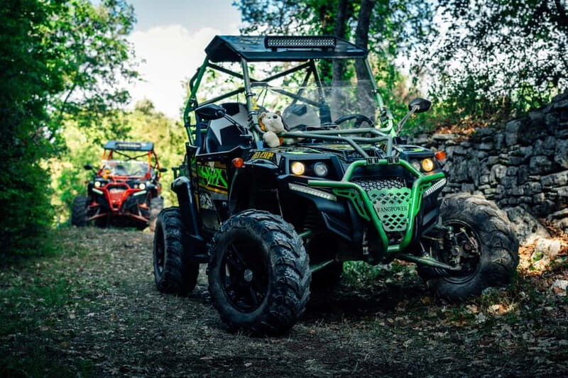 Faana: Guided Buggy Tour in the Heart of Istria - A Well-Structured Itinerary for Maximum Experience