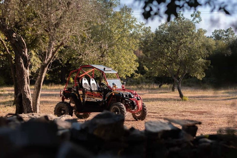 Faana: Guided Buggy Tour in the Heart of Istria - Who Will Love This Tour?