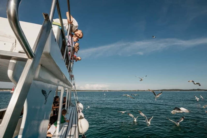 FAANA: NATIONAL PARK BRIJUNI GLASS BOAT PRIVATE TOUR - Who Will Like This Tour?
