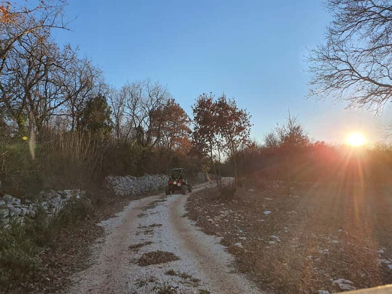 Faana: Sunset Buggy Tour with a possibility of swimming - Key Points