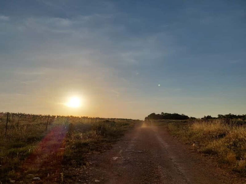 Faana: Sunset Buggy Tour with a possibility of swimming - An In-Depth Look at the Faana Sunset Buggy Tour