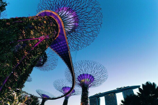 Fabulous Night-Out in Singapore - FAQs about the Fabulous Night-Out in Singapore