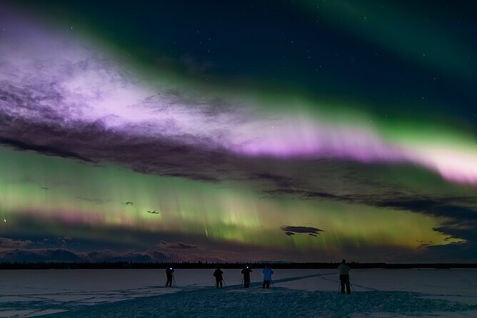 Face The Outdoors Northern Lights Tour Small Group - Authentic Experiences and Guest Insights