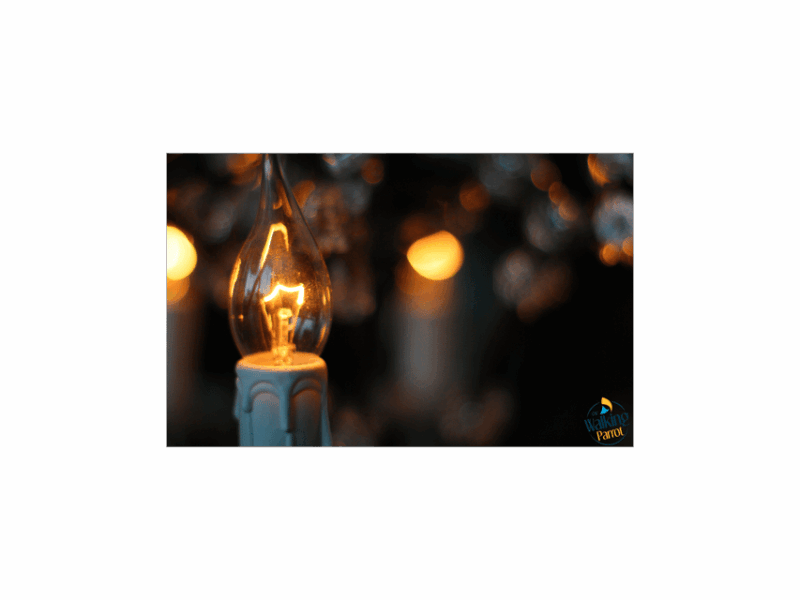 fado-night-guided-walking-tour-dinner-and-live-show