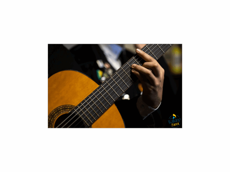 fado-night-guided-walking-tour-dinner-and-live-show