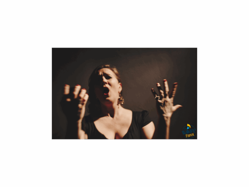 fado-night-guided-walking-tour-dinner-and-live-show