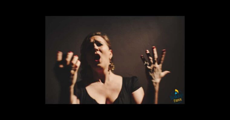 fado-night-guided-walking-tour-dinner-and-live-show