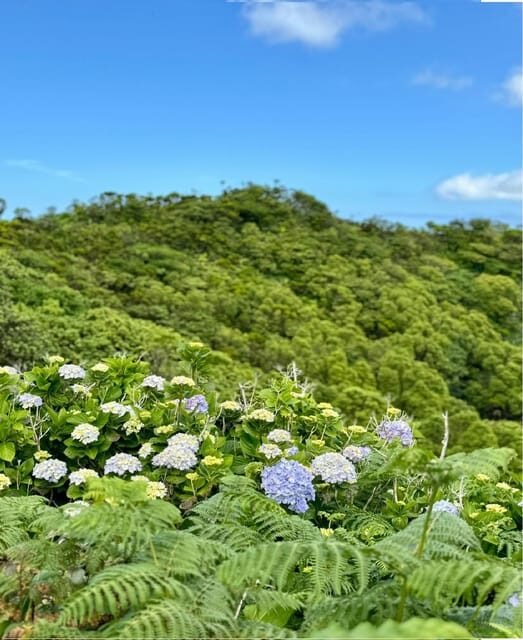 Faial Island: Caldeira Perimeter Hiking Tour PR04 - FAQ