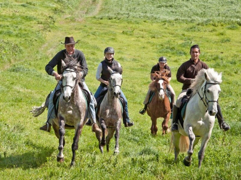 faial-island-horseback-riding-3-hrs-experienced-riders
