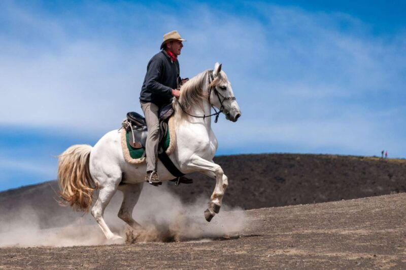 faial-island-horseback-riding-3-hrs-experienced-riders