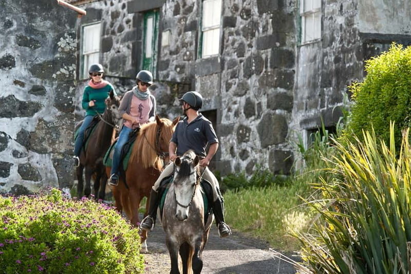 Faial Island: Horseback Riding on Lusitano Trail - Key Points