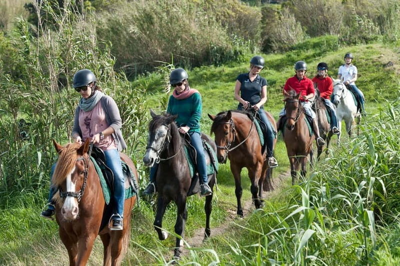Faial Island: Horseback Riding on Lusitano Trail - Pricing and Value