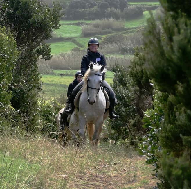 Faial Island: Horseback Riding on Lusitano Trail - Who Is This Tour Best For?