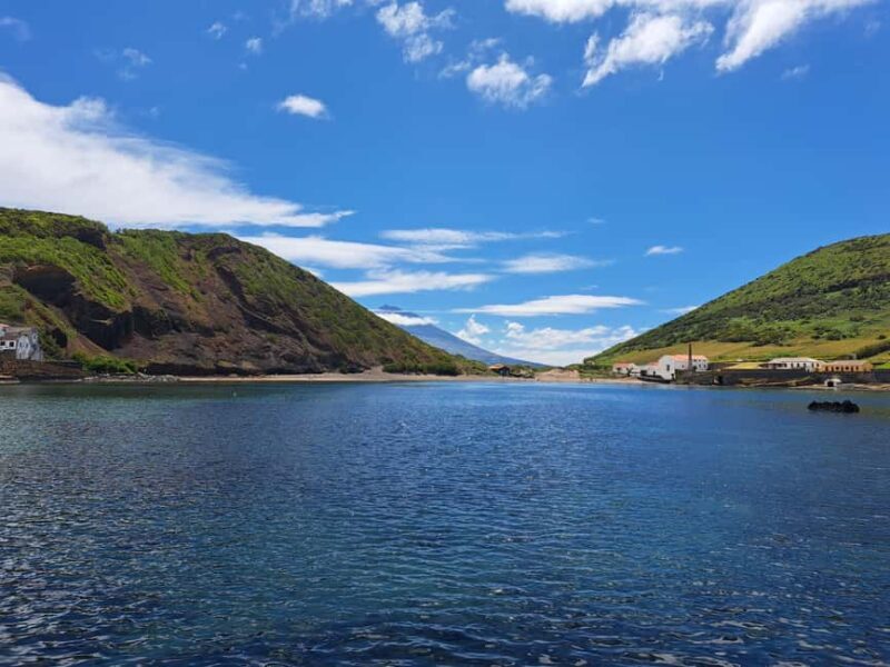 Faial: Private 4WD Full Day Island Tour with Local Guide - Why This Tour Offers Excellent Value