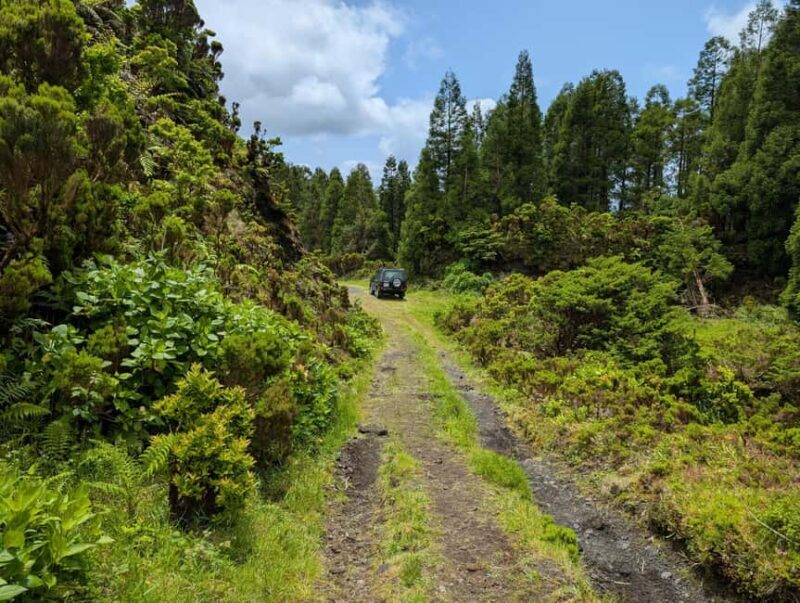 Faial: Private 4WD Full Day Island Tour with Local Guide - Final Thoughts