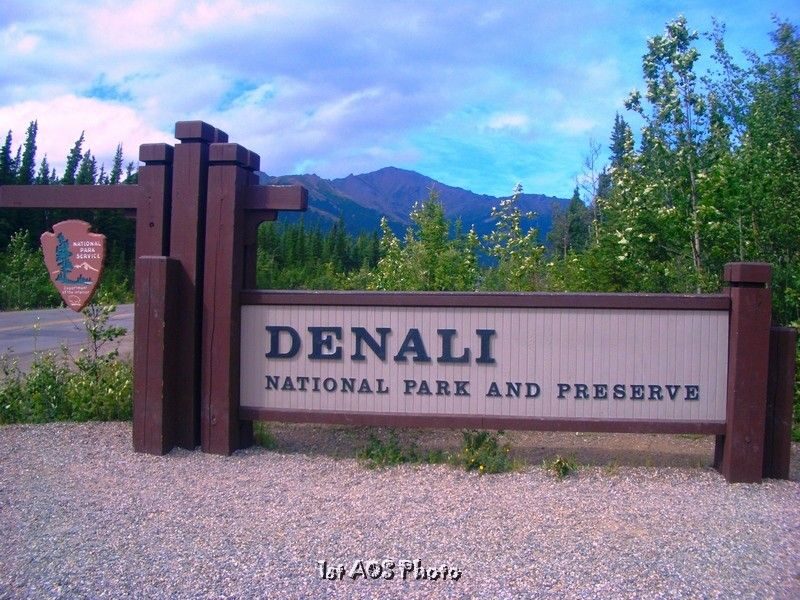 Fairbanks  Denali Shuttle Service - Final Thoughts