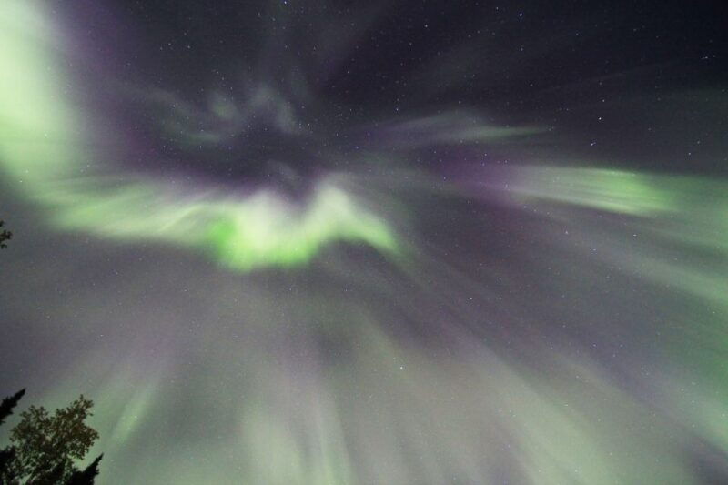 fairbanks-moonlight-dog-sled-dinner-northern-lights
